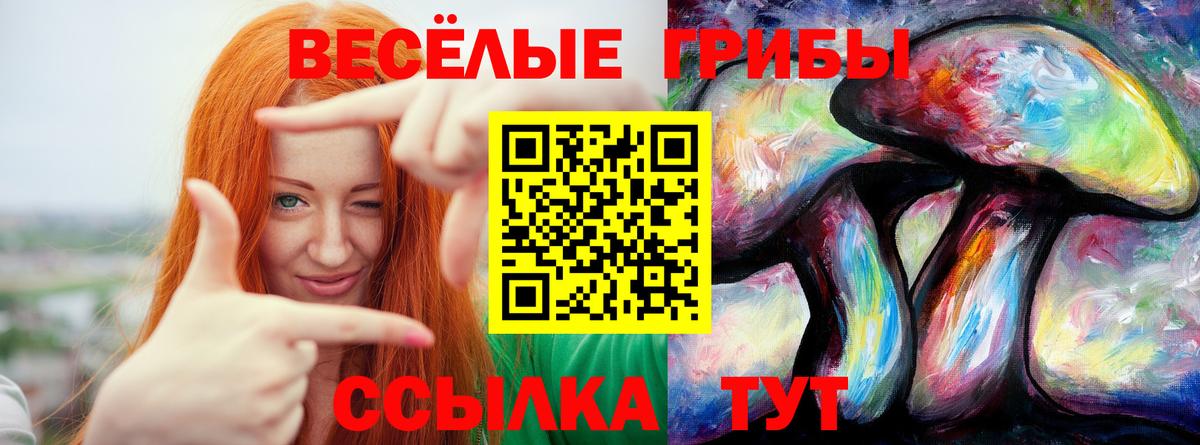 Галлюциногенные грибы GOLDEN TEACHER Махачкала