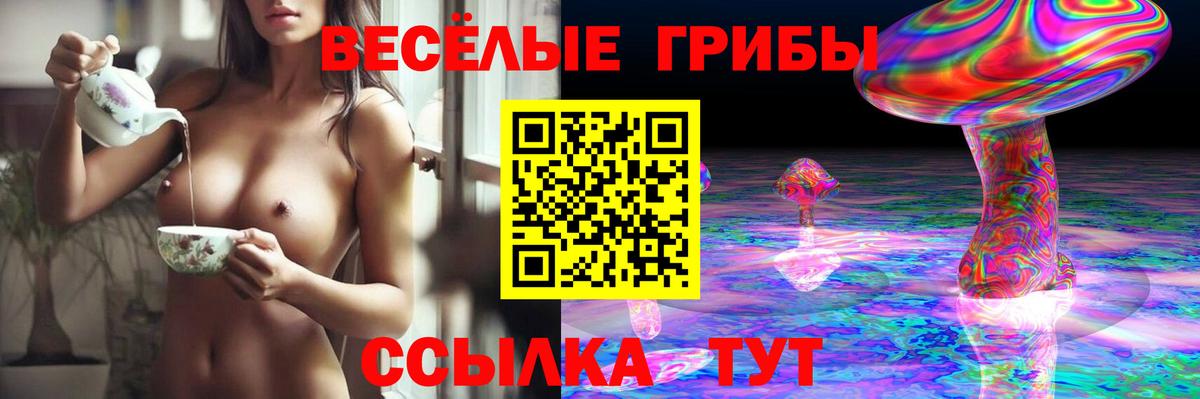 Махачкала  как найти наркотики  Вход с VPN  Псилоцибиновые грибы мухоморы 